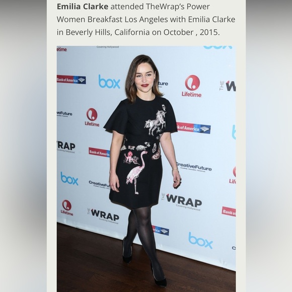 Valentino Fantastic Animals Embroidered Black Mini Dress - 38 - Picture 3 of 8